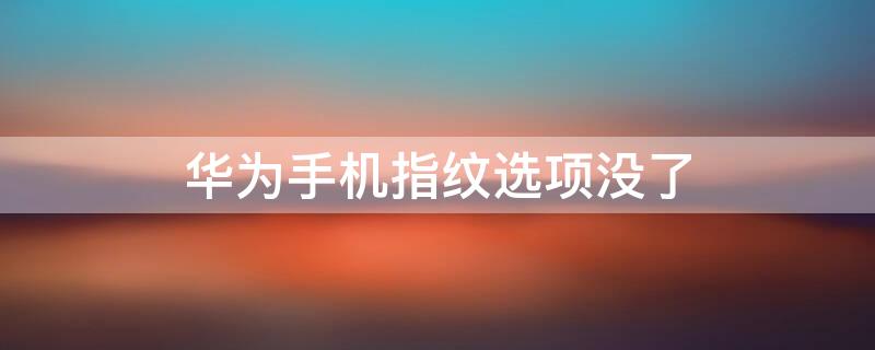 华为手机指纹选项没了 华为手机指纹选项不见了