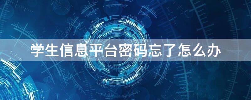 学生信息平台密码忘了怎么办（学生信息平台密码忘了怎么办理）