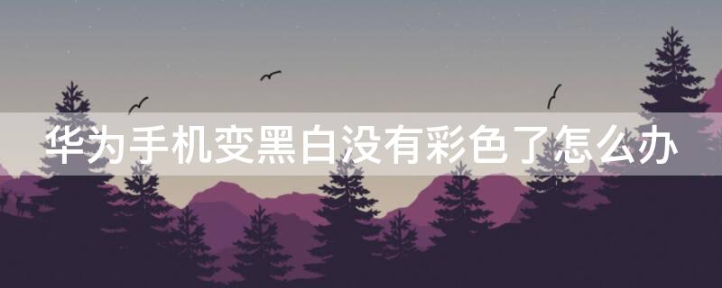 华为手机变黑白没有彩色了怎么办 华为手机变为黑白没彩色是什么原因