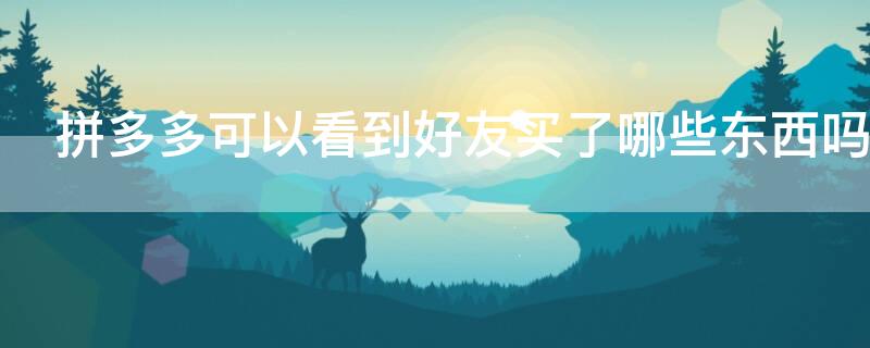 拼多多可以看到好友买了哪些东西吗 拼多多可以看到好友买了哪些东西吗怎么关闭