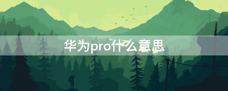 华为pro什么意思（华为pro9）