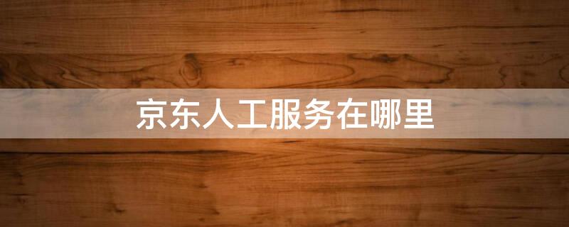 京东人工服务在哪里（京东的人工服务在哪）