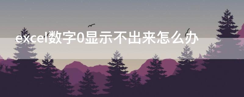 excel数字0显示不出来怎么办（excel中数字0显示不出来）