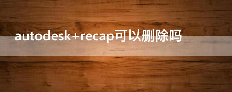 autodesk recap可以删除吗