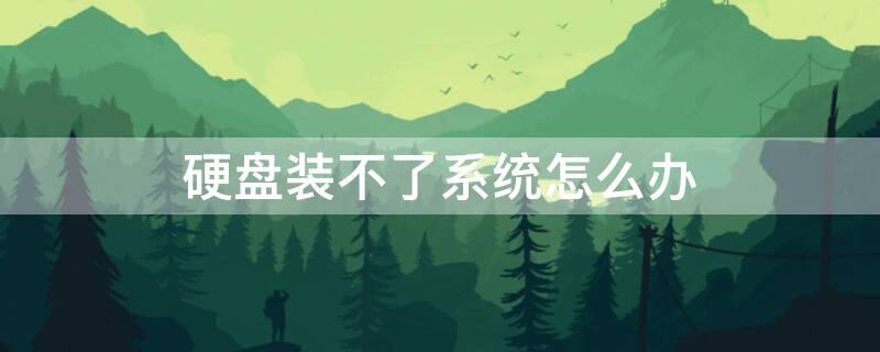 硬盘装不了系统怎么办（硬盘装不起系统）