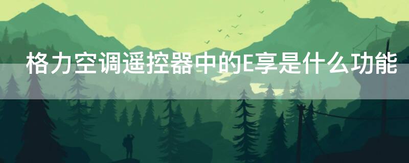 格力空调遥控器中的E享是什么功能 格力空调遥控器里面的e享是什么意思