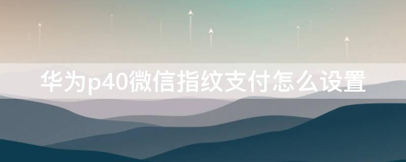 华为p40微信指纹支付怎么设置（华为p40微信指纹支付怎么设置密码）