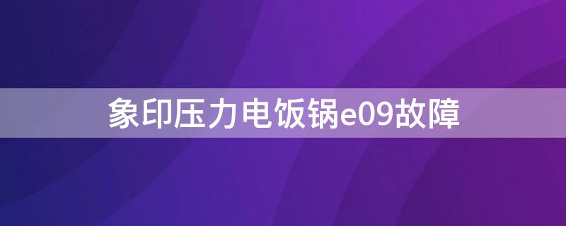 象印压力电饭锅e09故障 象印电饭煲压力一直闪按键无反应