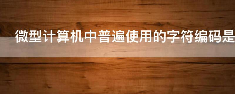 微型计算机中普遍使用的字符编码是什么吗