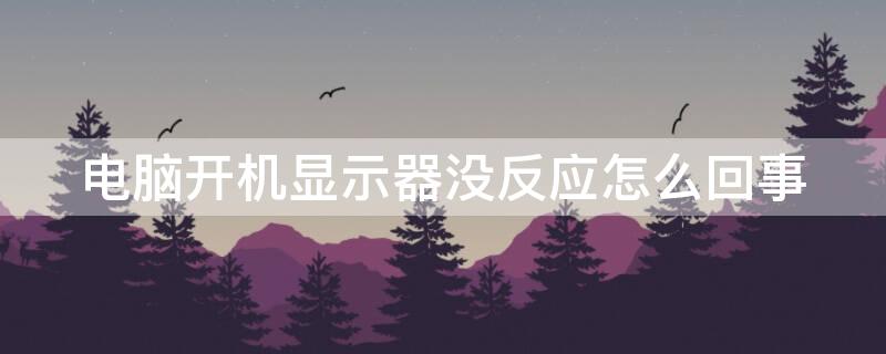 电脑开机显示器没反应怎么回事（电脑开机显示器没反应怎么回事鼠标键盘亮）