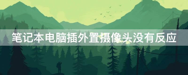 笔记本电脑插外置摄像头没有反应 笔记本电脑插外置摄像头没有反应怎么回事