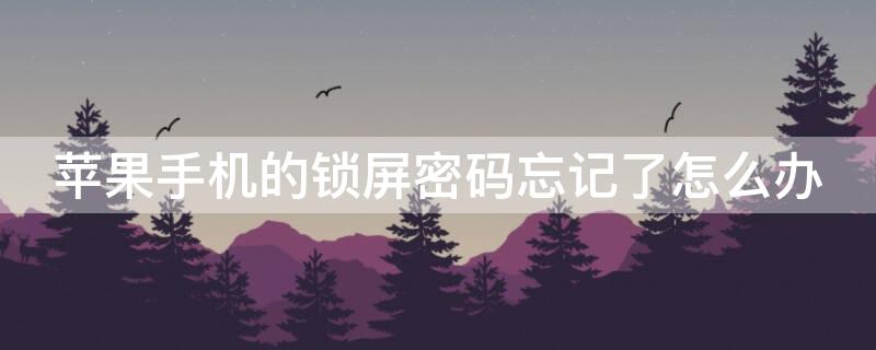 iPhone手机的锁屏密码忘记了怎么办（iphone手机的锁屏密码忘记了怎么办呢）
