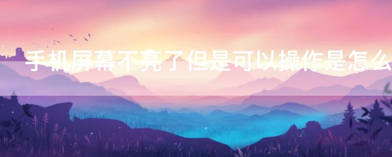 手机屏幕不亮了但是可以操作是怎么回事