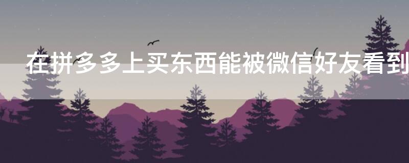 在拼多多上买东西能被微信好友看到吗