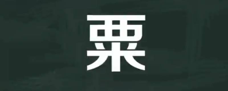 粟怎么读（粟怎么读同音字）