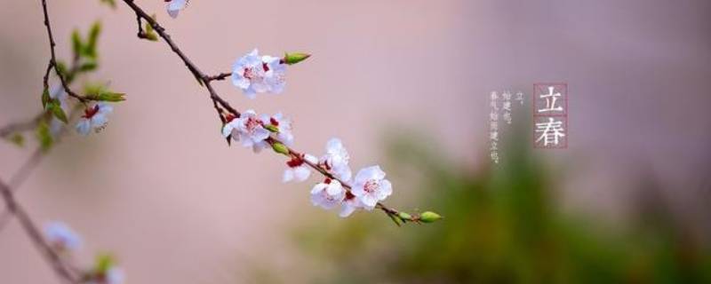 为什么立春后才是第二年开始（立春是第二年吗）