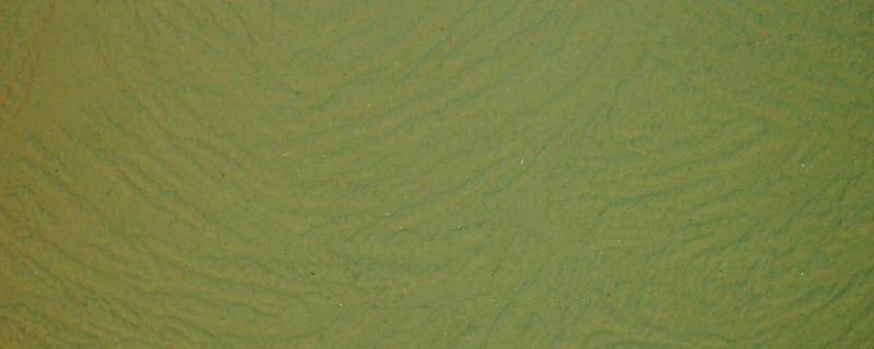 墨绿色的寓意和象征 墨绿色的寓意和象征发财