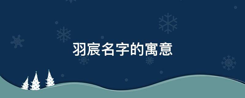 羽宸名字的寓意 宸羽字取名寓意
