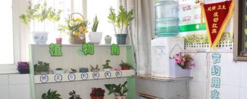 设立生物角的好处（说服同学在班里设立生物角的好处）