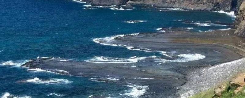 海洋资源包括哪些（海洋资源包括哪些资源）