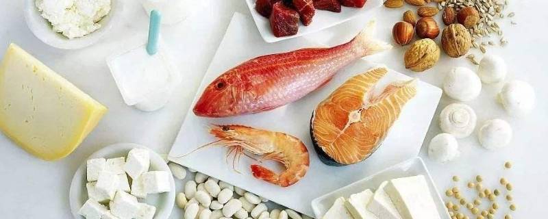 骨脂蛋白在哪些食物里有?（骨脂蛋白在哪些食物里有含量）