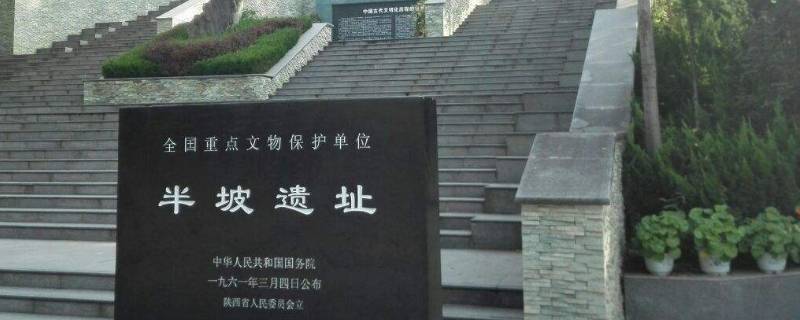 半坡村遗址在哪里（半坡村遗址在哪里的东郊）