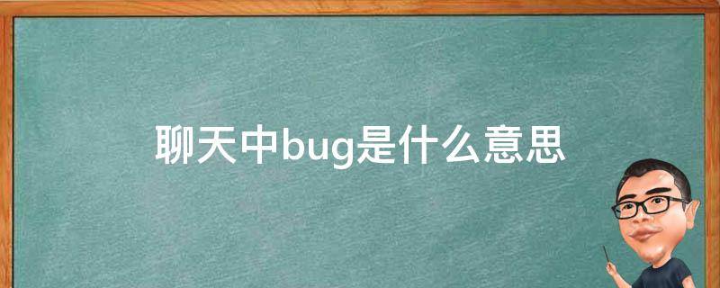 聊天中bug是什么意思 BUG 什么意思