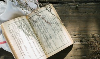 梅蕊重重何俗甚丁香千结苦粗生意思（丁香千结苦粗声上一句）