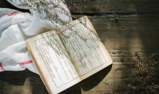 让花成花让树成树什么意思 把自己还给自己让花成花让树成树什么意思