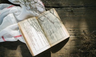 凉薄之人如何偕老是什么意思 凉薄之人如何偕老是什么意思?