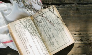 锺期久已没世上天知音的意思（钟期已久没,世上无知音）