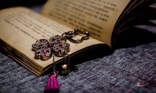 自日出至薄暮已至半山矣的意思（自日出至薄暮的自什么意思）