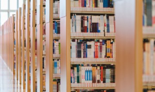 刚毅木讷近仁巧言令色鲜矣仁什么意思