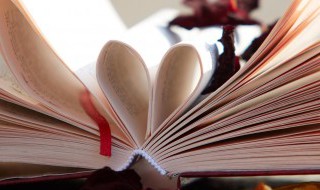 海棠宋苏轼的古诗意思 海棠苏轼古诗诗意