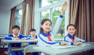 考拉的英文怎么读 考拉的英文怎么读怎么写