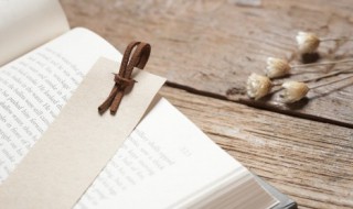 转销是什么意思（收入的转销是什么意思）