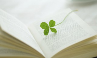 参谋的意思（参谋的意思解释）