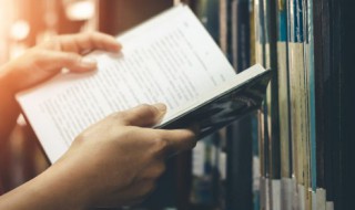 焚怎么组词（焚怎么组词分怎么组词）