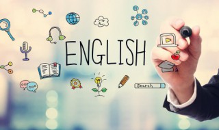 director是什么意思