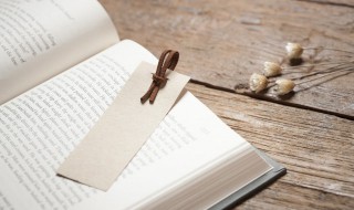 遣返是什么意思（学校遣返是什么意思）