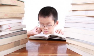 榉怎么组词（榉怎么组词语）