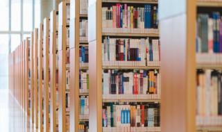 犯怎么组词（犯怎么组词三年级）