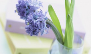 造怎么组词（造怎么组词?）