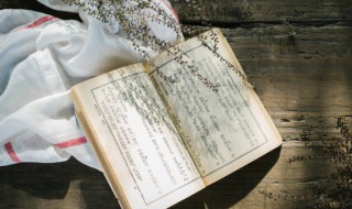 貌怎么组词（貌怎么组词语和拼音）