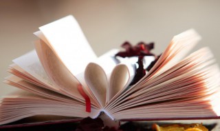 身怎么组词 紫怎么组词