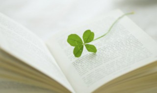 贸怎么组词（贸怎么组词组）