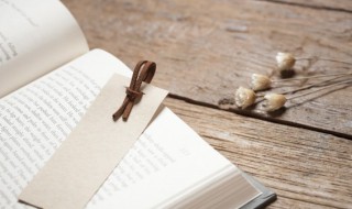 付怎么组词（豫怎么组词）