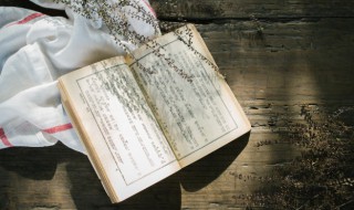 践怎么组词 践怎么组词?