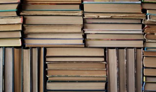 指怎么组词 指怎么组词造句