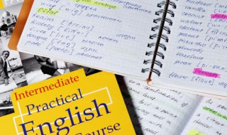 鸡腿英语怎么说 红烧鸡腿英语怎么说